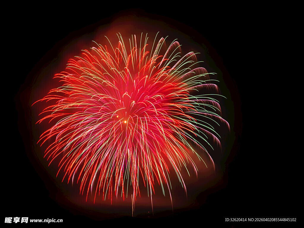 绚丽烟花绽放夜空