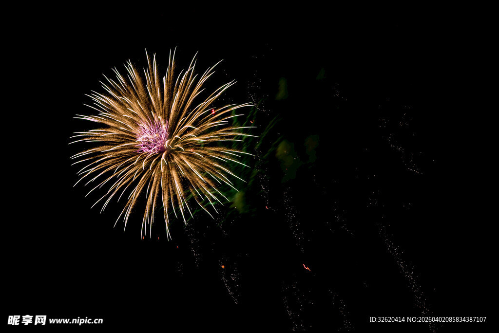 夜空中绽放的绚丽烟花