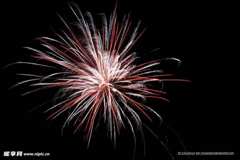 绚丽烟花绽放夜空