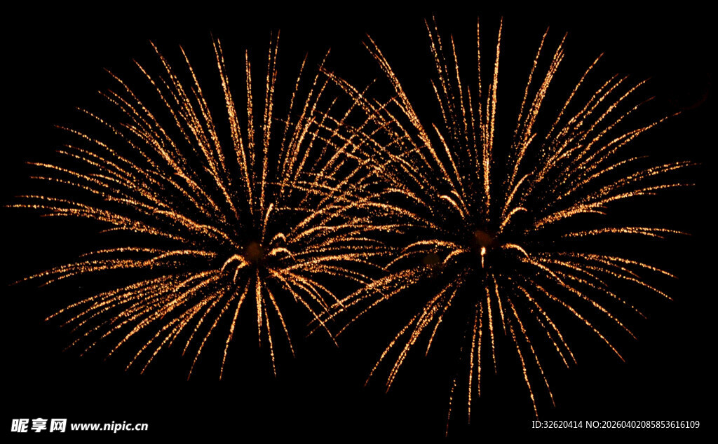 夜空中绚烂的金色烟花