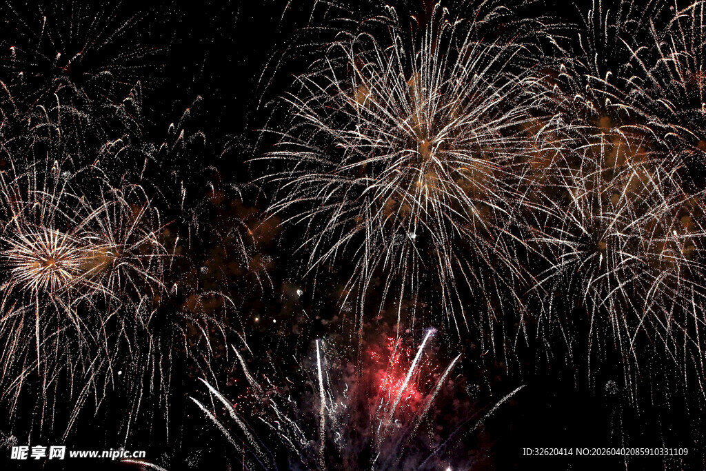 夜空中绚烂的烟花绽放