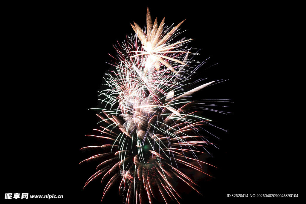 绚丽烟花绽放夜空