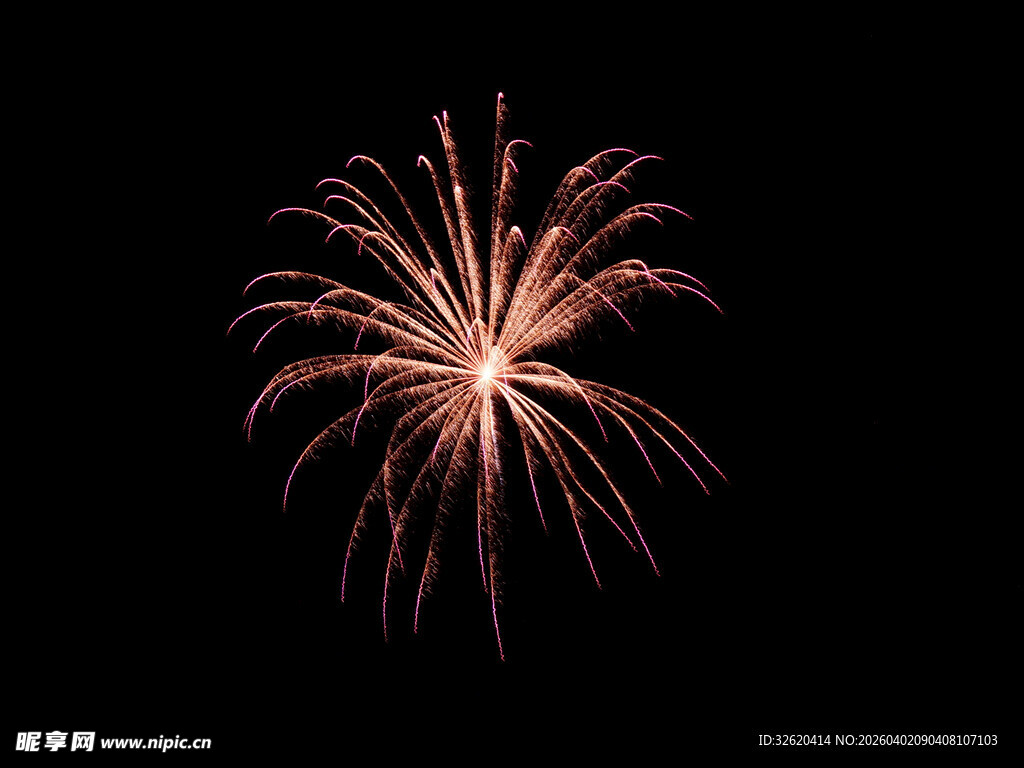 夜空中绽放的绚丽烟花