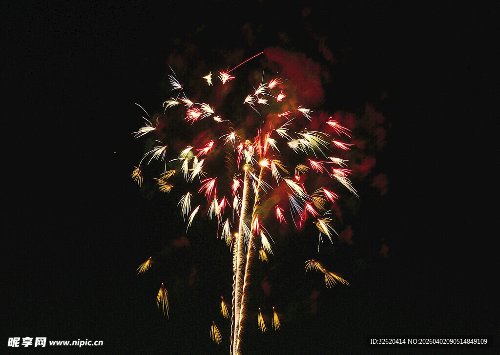 夜空中绚烂的烟花绽放