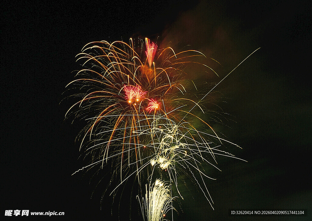 夜空中绚烂的烟花绽放
