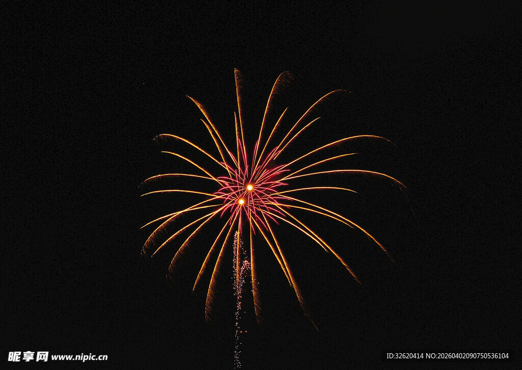 夜空中绽放的绚烂烟花