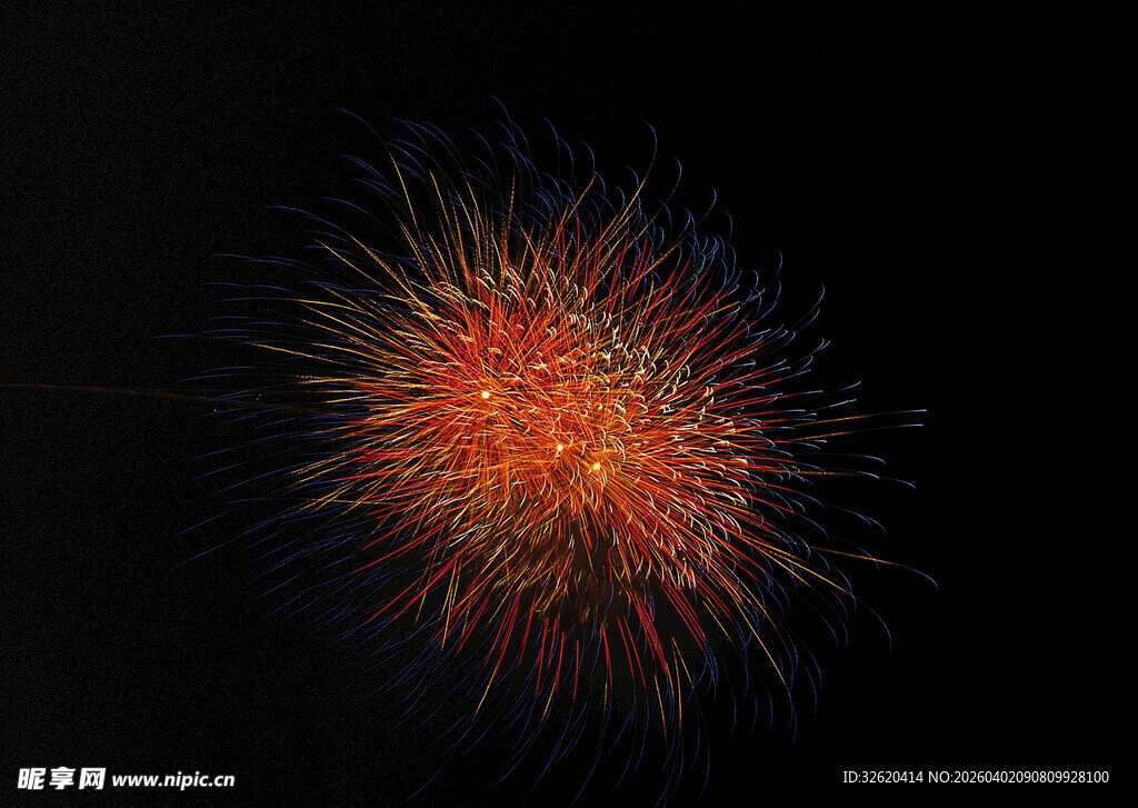 夜空中绚烂绽放的烟花