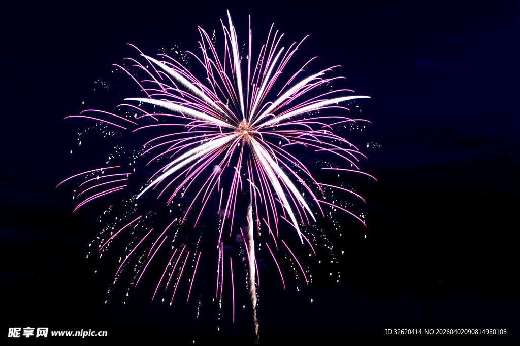 夜空中绽放的绚丽烟花