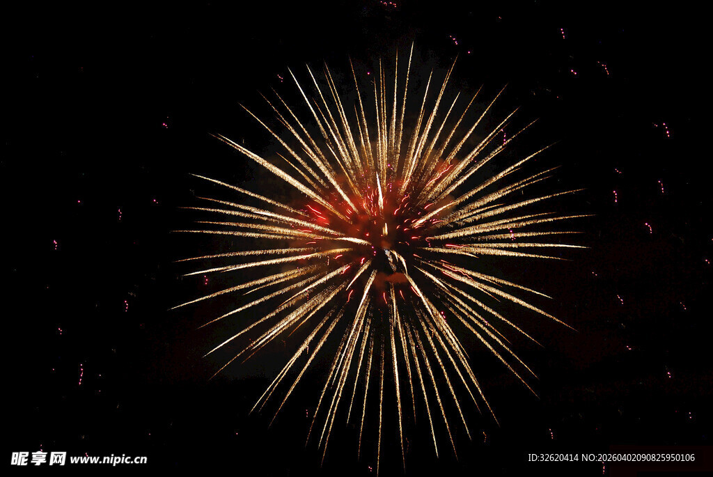 夜空中绽放的绚烂烟花