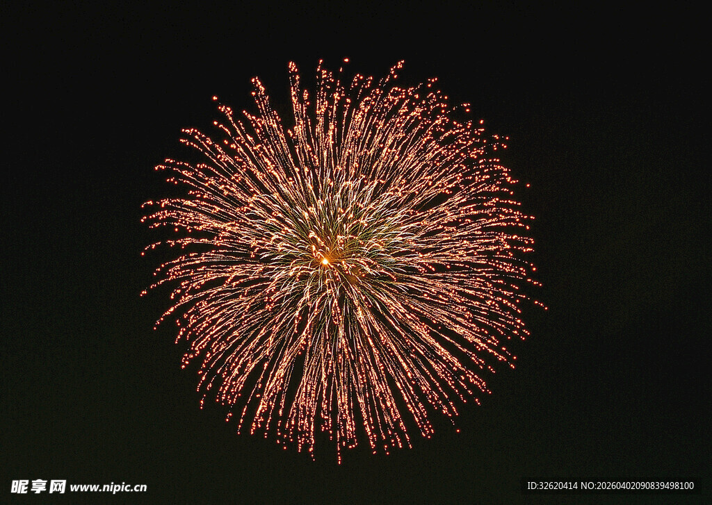 夜空中绽放的绚丽烟花