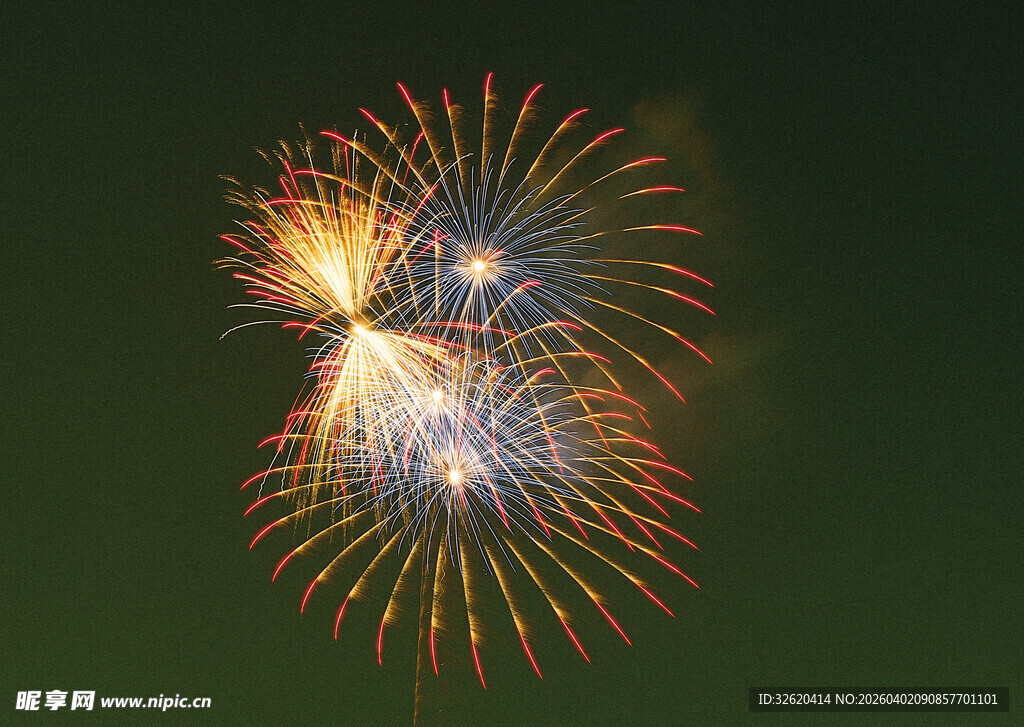 夜空中绚烂的烟花绽放