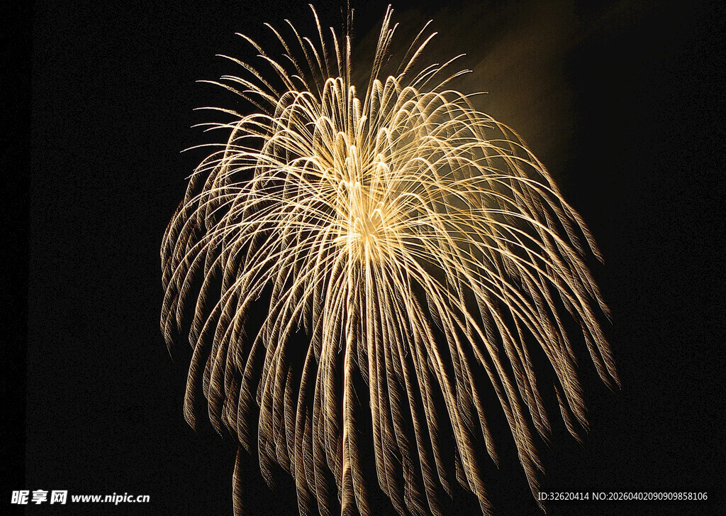 夜空中绽放的绚烂烟花