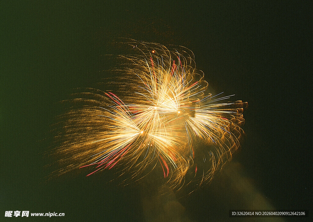 夜空中绚烂绽放的烟花