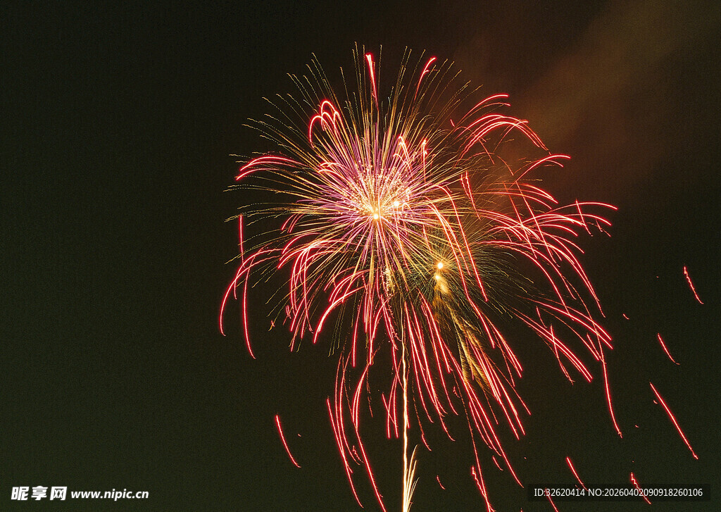 夜空中绚烂绽放的烟花