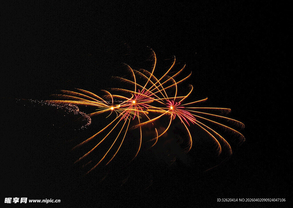 绚丽烟花绽放夜空