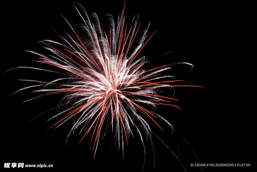 绚丽烟花绽放夜空