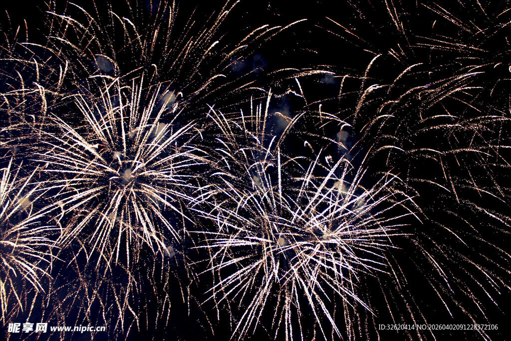 绚丽烟花绽放夜空