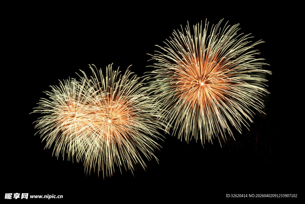 夜空中绽放的绚烂烟花