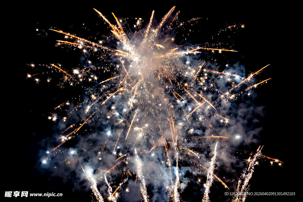 绚丽烟花绽放夜空