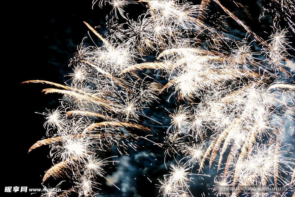 夜空中绚烂绽放的烟花