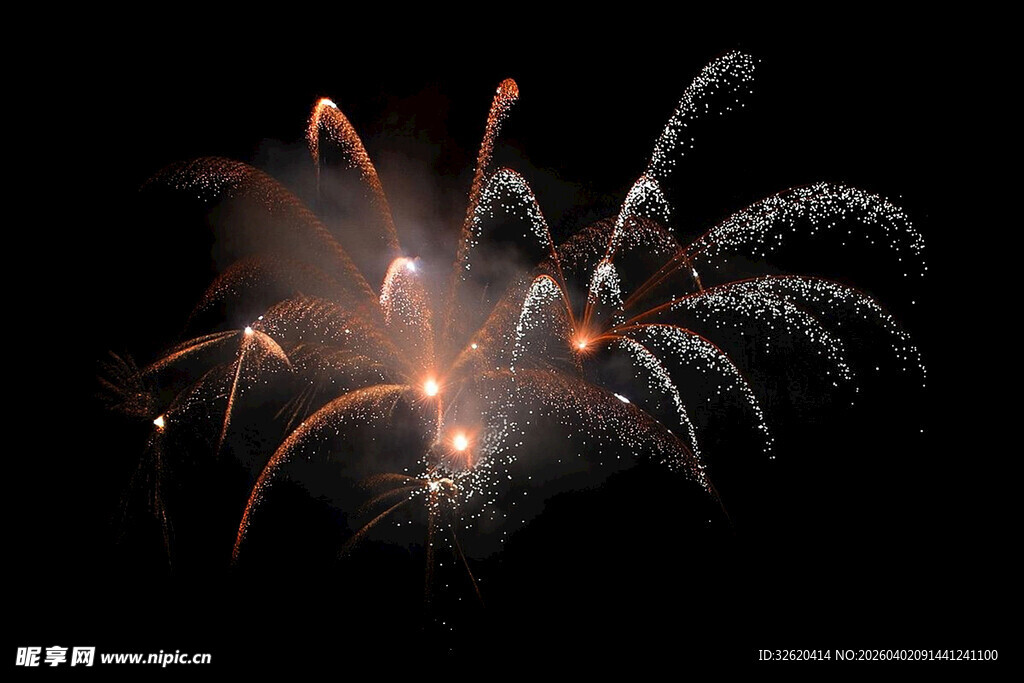 绚丽烟花绽放夜空