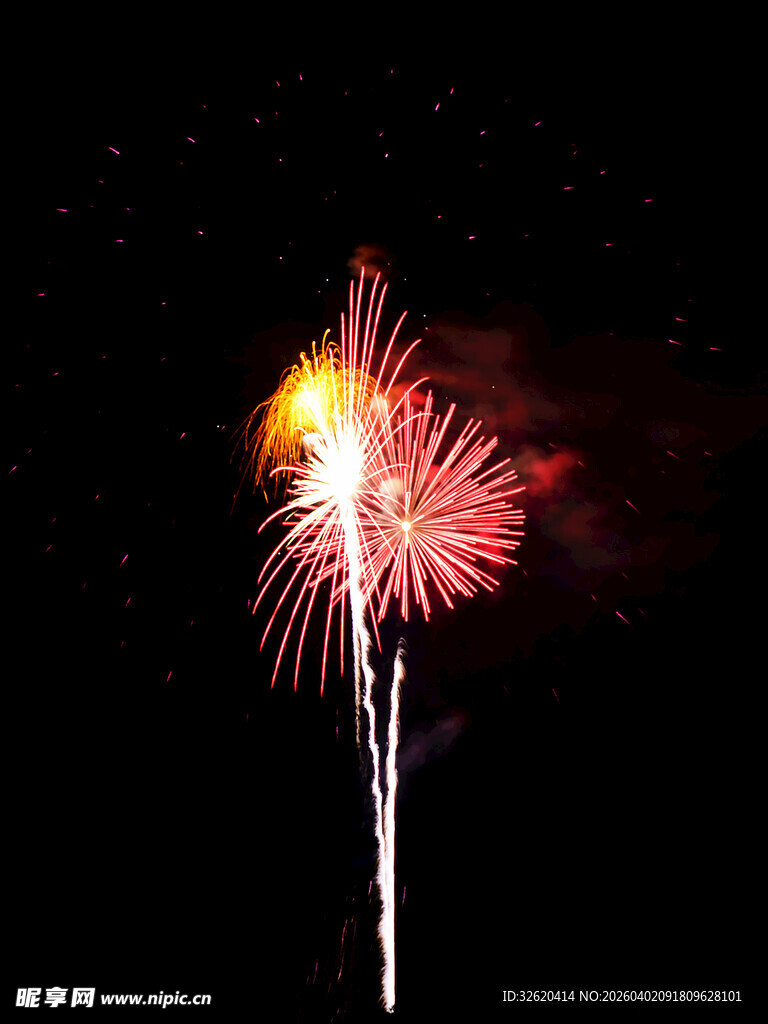 夜空中绽放的绚丽烟花