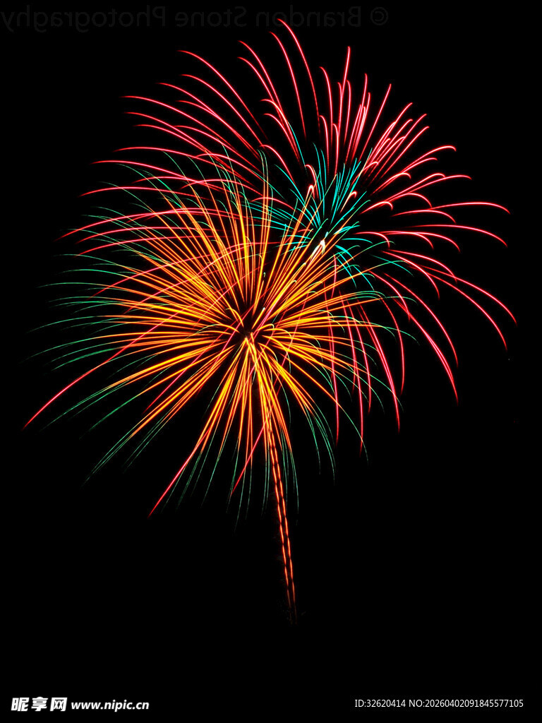 绚丽烟花绽夜空