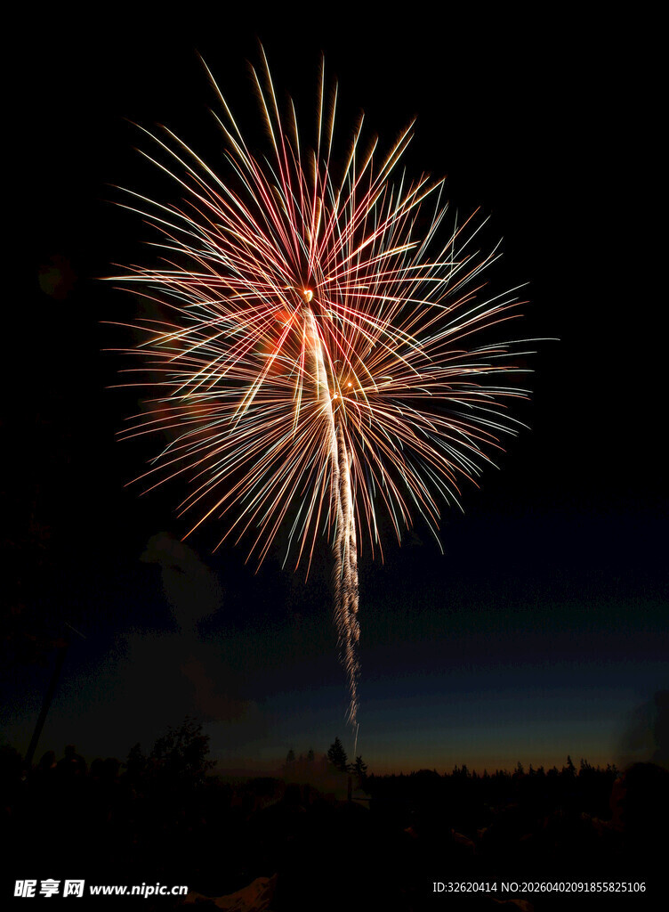 夜空中绚烂绽放的烟花