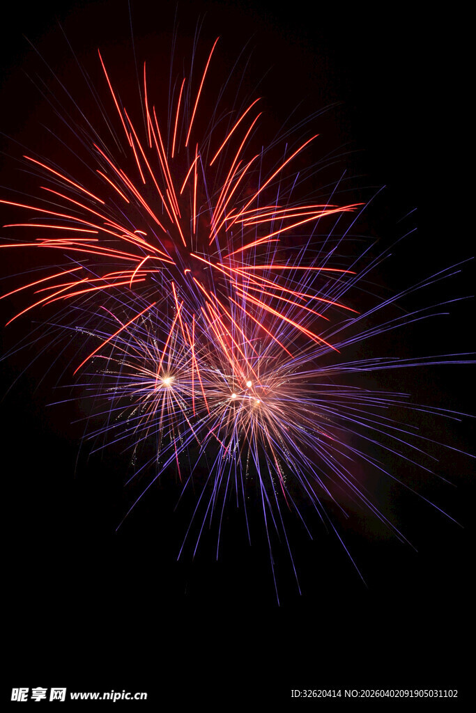 绚丽烟花绽放夜空