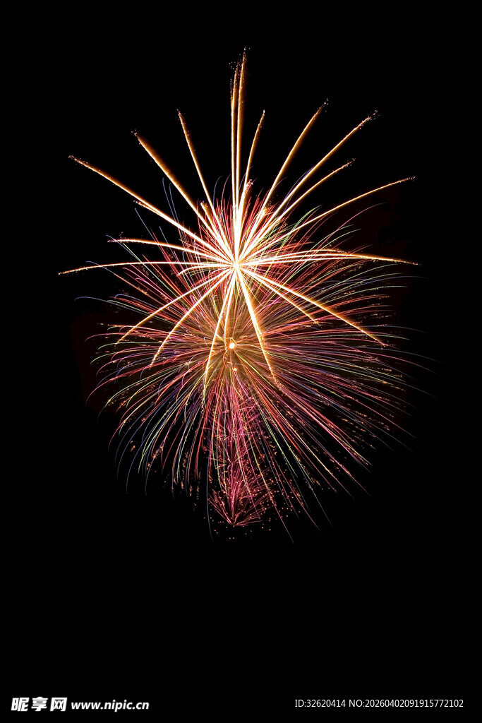 夜空中绚丽的烟花绽放