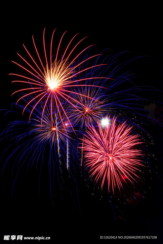 夜空中绚烂绽放的烟花