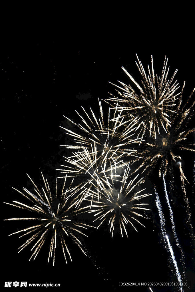 夜空中绽放的绚烂烟花