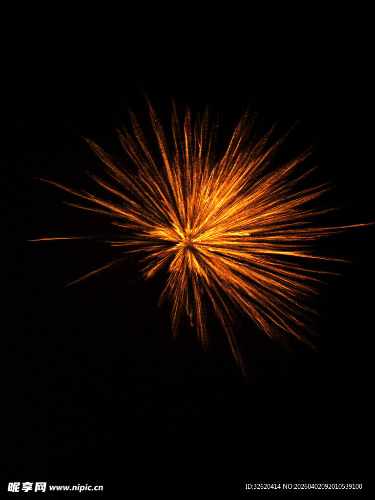 绽放的绚烂烟花