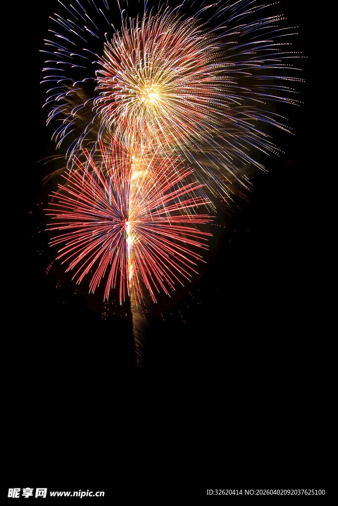 夜空中绚烂的烟花绽放