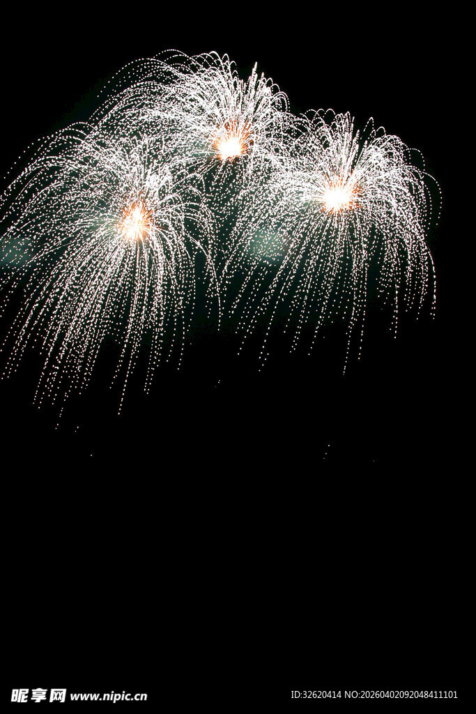 夜空中绚丽的烟花绽放