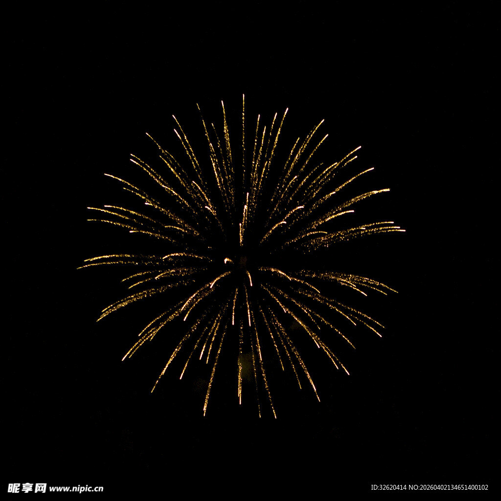 夜空中绽放的金色烟花