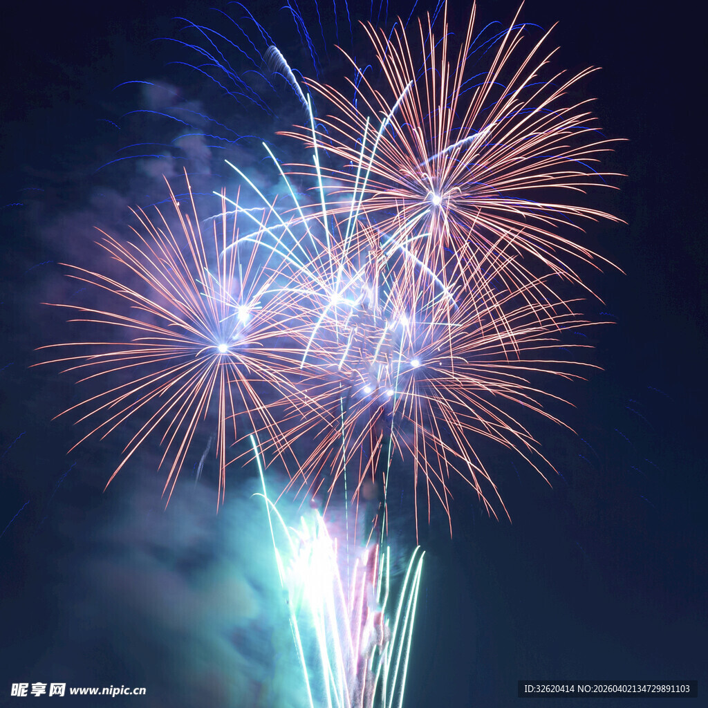 夜空中绚烂绽放的烟花