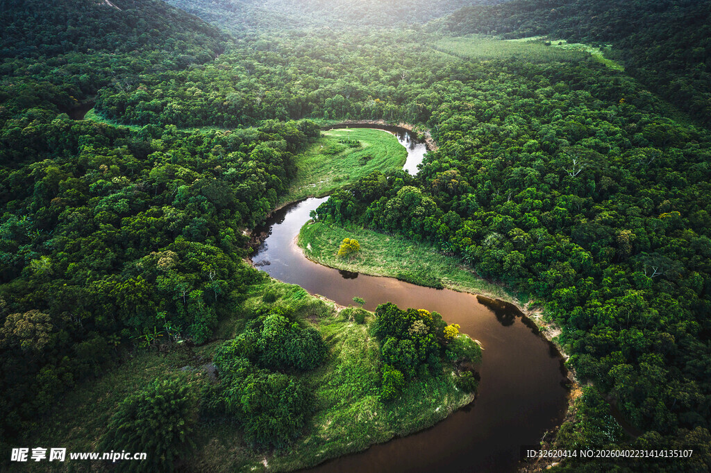 蜿蜒河流穿行茂密森林