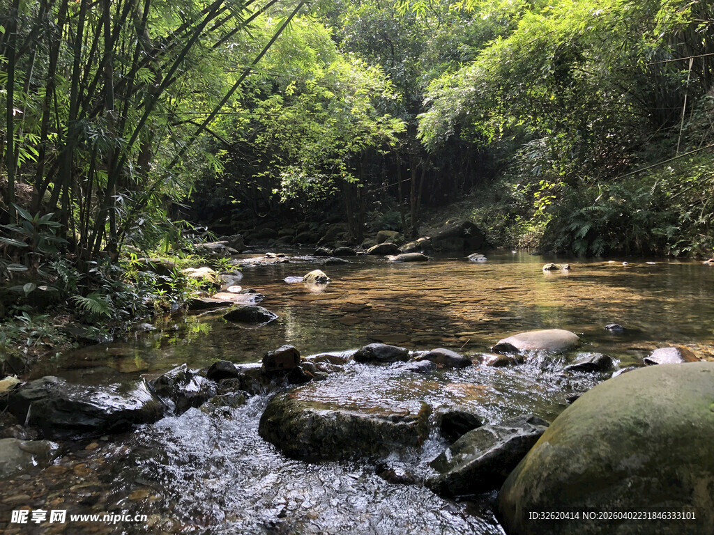 山林间的清澈溪流