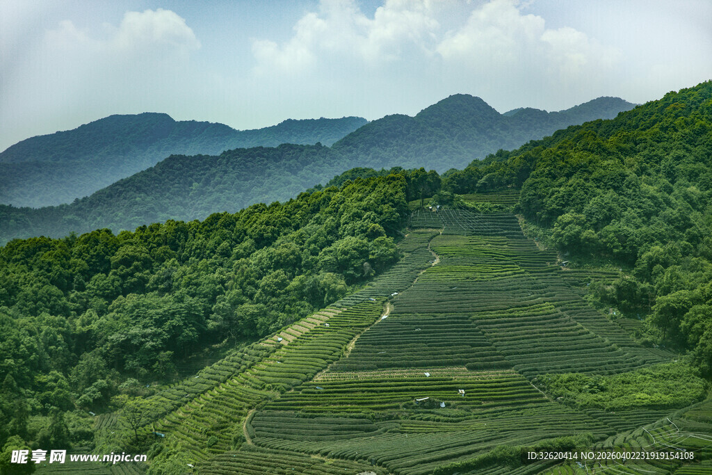 青山绿野间的梯田风光