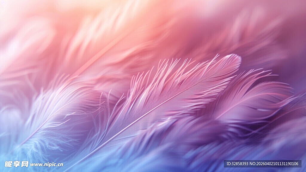 梦幻渐变羽毛纹理背景