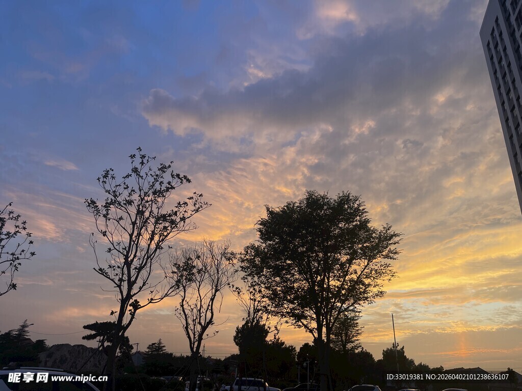夕阳下的树木与绚丽天空