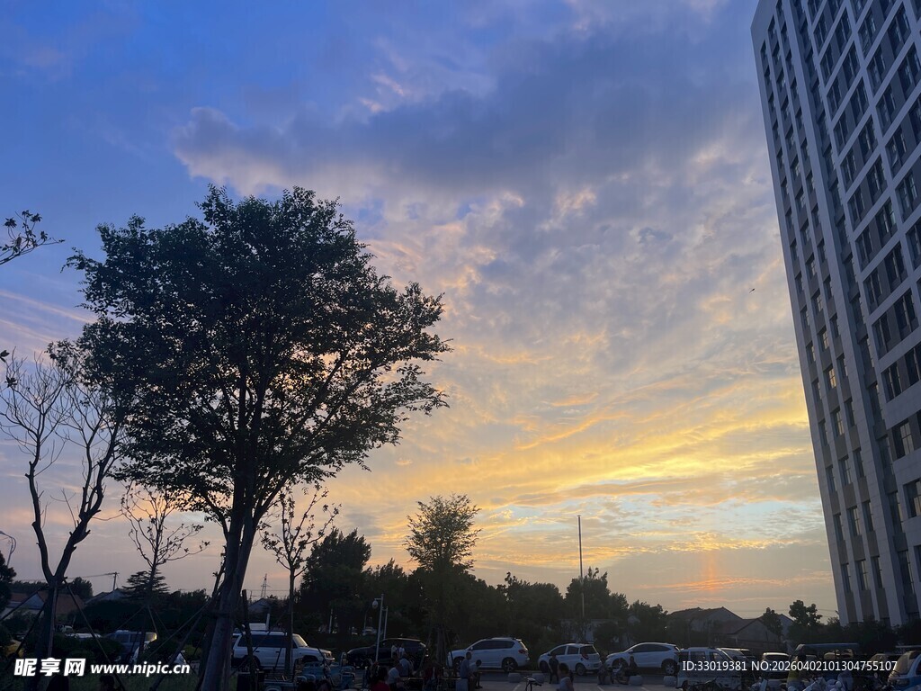 城市黄昏美景   树与高楼相伴