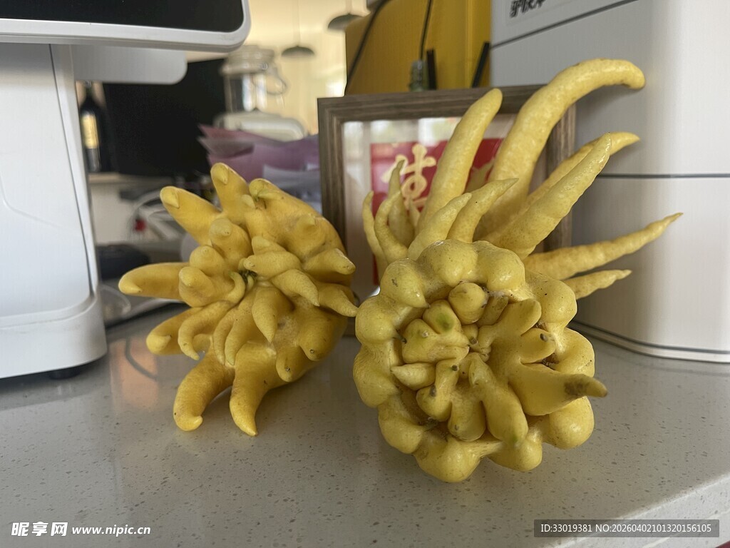 创意黄色植物雕塑摆件