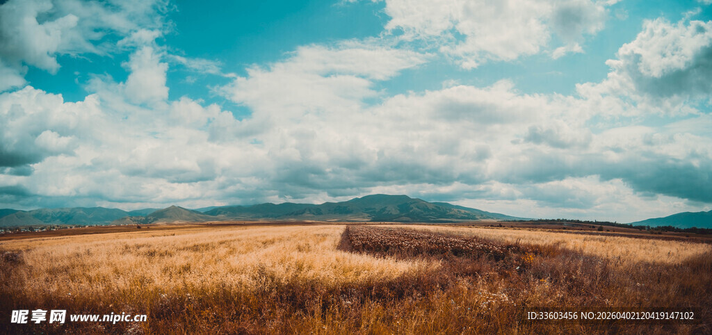 广袤田野与蓝天白云美景