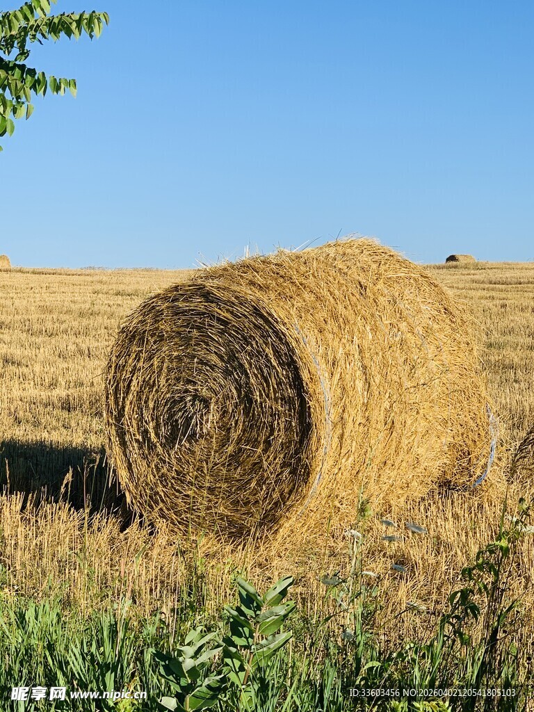 田野中的巨大干草卷