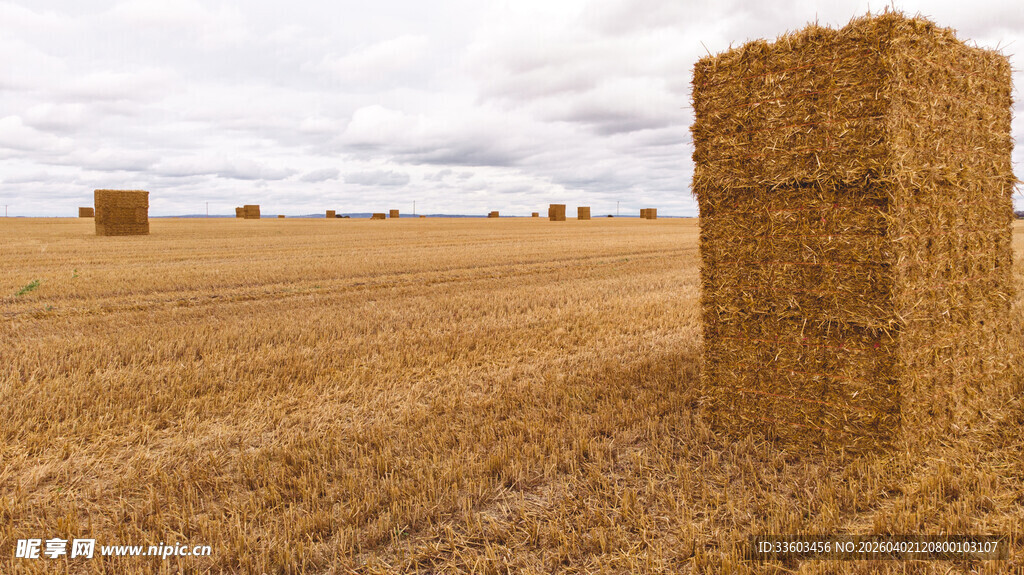 田野中的麦秸垛