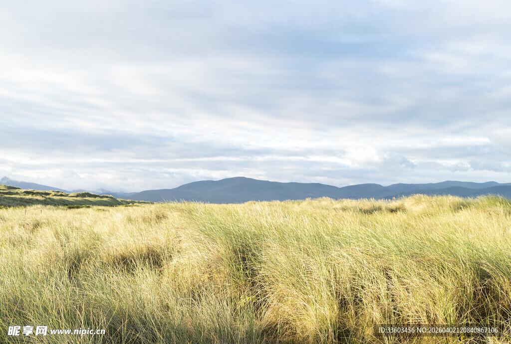 广袤草原与远处山峦风景