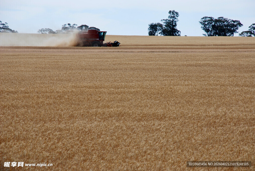 麦田里的农业机械作业
