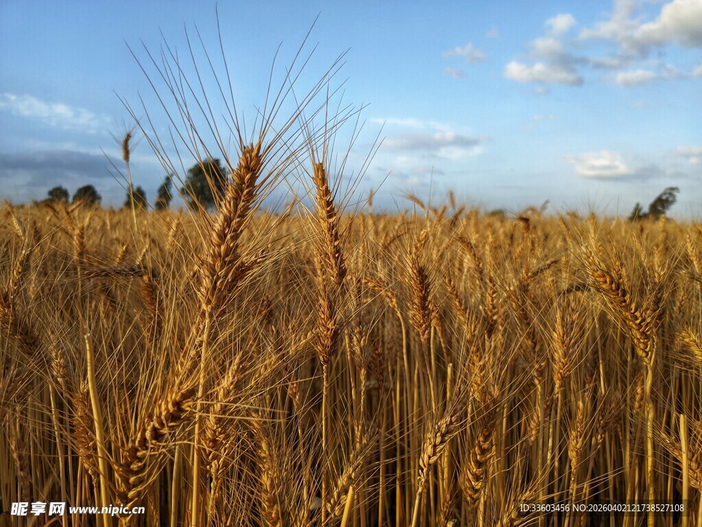 蓝天白云下美景